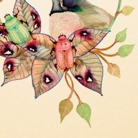 Colleen Parker Nagie